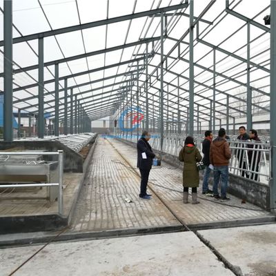 হালকা ইস্পাত কাঠামো গরুর শয্যা প্রিফ্যাব্রিকেটেড ইস্পাত ফ্রেম ফার্ম বিল্ডিং
