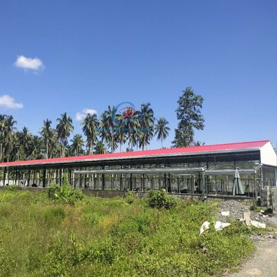 ছাগল / ভেড়ার জন্য উচ্চ শক্তি শক্তি দক্ষ ইস্পাত ভবন