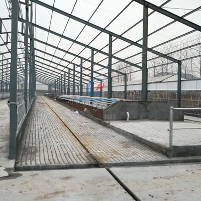 টেকসই স্টিল ফ্রেম বিল্ডিং কাস্টমাইজড স্টিল ফ্রেম ফার্ম বিল্ডিং