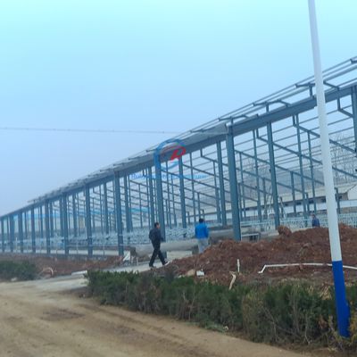 প্রিফ্যাব স্টিল স্ট্রাকচার শ্যাড, প্রাকৃতিক বায়ুচলাচল ধাতব শ্যাড বিল্ডিং
